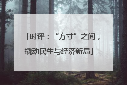 时评：“方寸”之间，撬动民生与经济新局