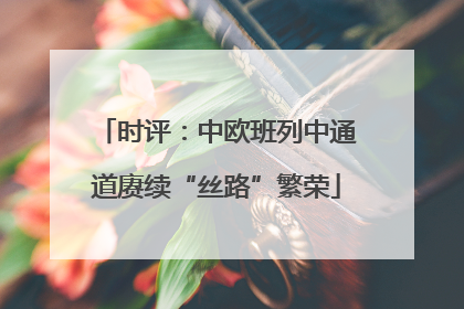 时评：中欧班列中通道赓续“丝路”繁荣