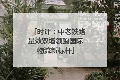 时评：中老铁路量效双增领跑国际物流新标杆