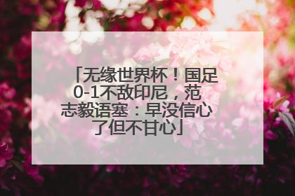 无缘世界杯！国足0-1不敌印尼，范志毅语塞：早没信心了但不甘心