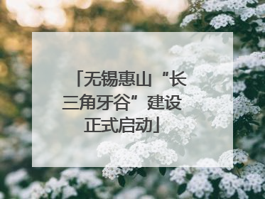 无锡惠山“长三角牙谷”建设正式启动