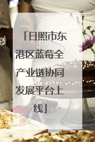 日照市东港区蓝莓全产业链协同发展平台上线