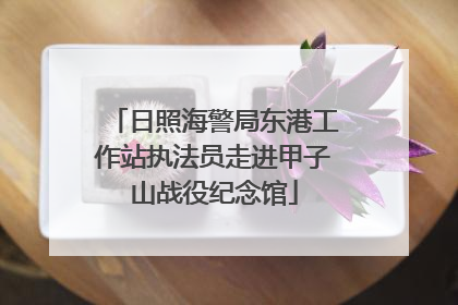 日照海警局东港工作站执法员走进甲子山战役纪念馆