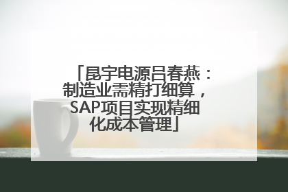昆宇电源吕春燕：制造业需精打细算，SAP项目实现精细化成本管理