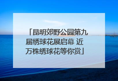 昆明郊野公园第九届绣球花展启幕 近万株绣球花等你赏