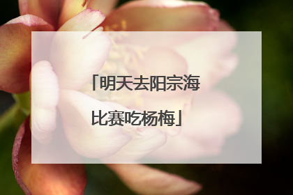明天去阳宗海比赛吃杨梅