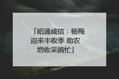 昭通威信：杨梅迎来丰收季 助农增收采摘忙