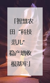 智慧农田“科技范儿” 稳产增收根基牢