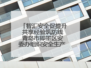 智汇安全促提升 共享经验筑防线 青岛市即墨区安委办组织安全生产共享专家现场观摩学习活动