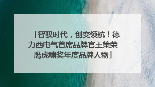智驭时代，创变领航！德力西电气首席品牌官王策荣膺虎啸奖年度品牌人物
