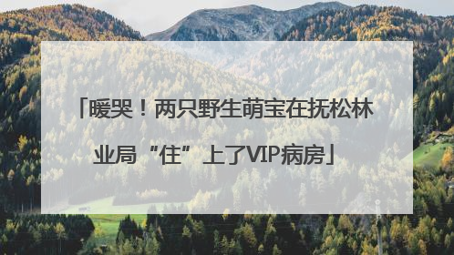 暖哭！两只野生萌宝在抚松林业局“住”上了VIP病房