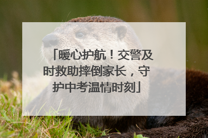 暖心护航！交警及时救助摔倒家长，守护中考温情时刻