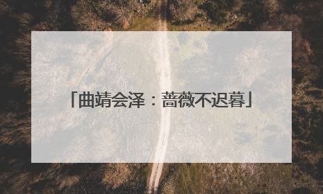 曲靖会泽：蔷薇不迟暮