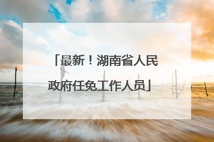 最新！湖南省人民政府任免工作人员