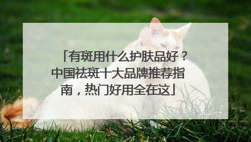 有斑用什么护肤品好？中国祛斑十大品牌推荐指南，热门好用全在这