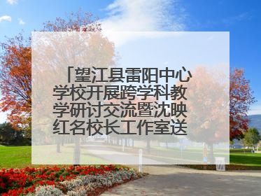 望江县雷阳中心学校开展跨学科教学研讨交流暨沈映红名校长工作室送教活动