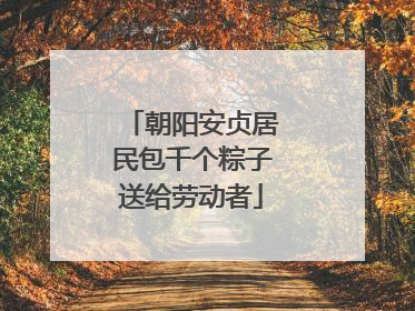 朝阳安贞居民包千个粽子送给劳动者