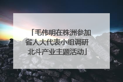 毛伟明在株洲参加省人大代表小组调研北斗产业主题活动