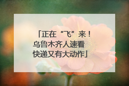 正在“飞”来！乌鲁木齐人速看 快递又有大动作