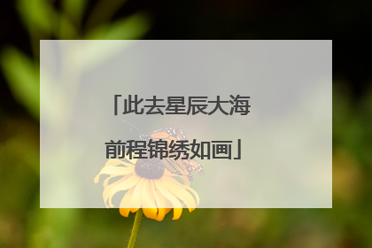 此去星辰大海 前程锦绣如画