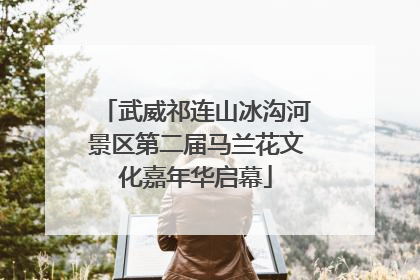 武威祁连山冰沟河景区第二届马兰花文化嘉年华启幕