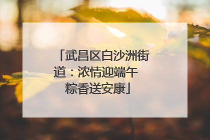 武昌区白沙洲街道：浓情迎端午 粽香送安康