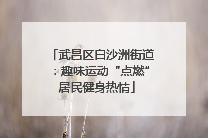武昌区白沙洲街道：趣味运动“点燃”居民健身热情