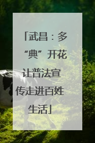 武昌：多“典”开花 让普法宣传走进百姓生活
