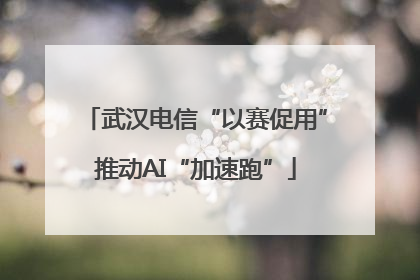 武汉电信“以赛促用”推动AI“加速跑”