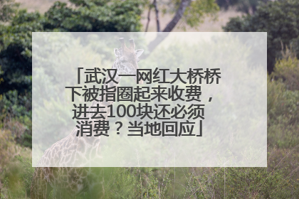 武汉一网红大桥桥下被指圈起来收费，进去100块还必须消费？当地回应