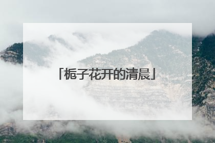 栀子花开的清晨