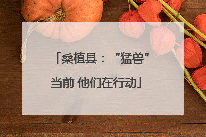 桑植县：“猛兽”当前 他们在行动