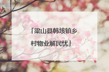 梁山县韩垓镇乡村物业解民忧