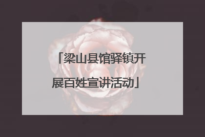 梁山县馆驿镇开展百姓宣讲活动