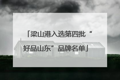 梁山港入选第四批“好品山东”品牌名单