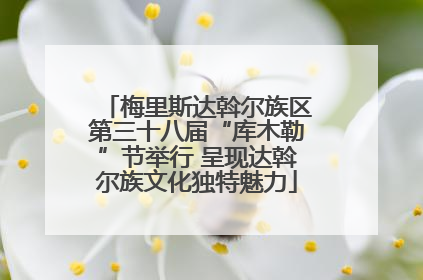 梅里斯达斡尔族区第三十八届“库木勒”节举行 呈现达斡尔族文化独特魅力