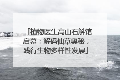 植物医生高山石斛馆启幕：解码仙草奥秘，践行生物多样性发展