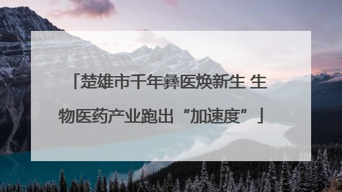 楚雄市千年彝医焕新生 生物医药产业跑出“加速度”