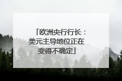 欧洲央行行长：美元主导地位正在变得不确定