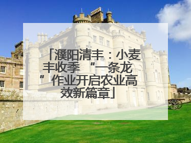 濮阳清丰：小麦丰收季 “一条龙”作业开启农业高效新篇章