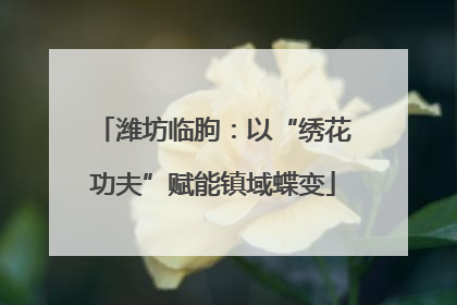潍坊临朐：以“绣花功夫”赋能镇域蝶变