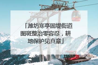 潍坊寒亭固堤街道图斑整治零容忍，耕地保护见真章