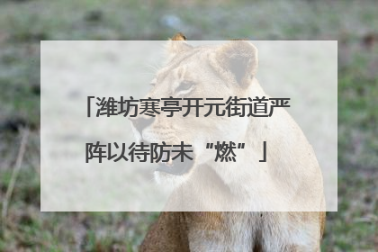 潍坊寒亭开元街道严阵以待防未“燃”