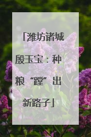 潍坊诸城殷玉宝：种粮“蹚”出新路子