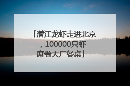 潜江龙虾走进北京，100000只虾席卷大厂餐桌