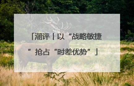 潮评丨以“战略敏捷”抢占“时差优势”