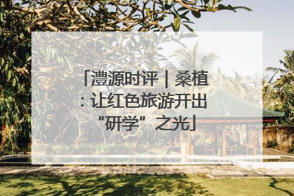 澧源时评｜桑植：让红色旅游开出“研学”之光