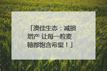 澳佳生态：减损增产 让每一粒麦穗都饱含希望！