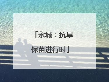 永城：抗旱保苗进行时