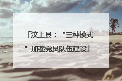 汶上县：“三种模式”加强党员队伍建设